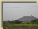 Rajasthan2- (66) * 1600 x 1200 * (817KB)